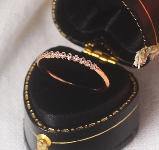 [GR66] Gredzens Izsmalcinātā